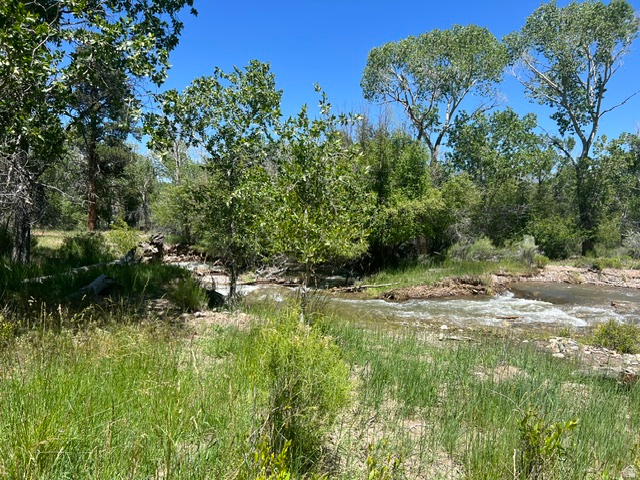 865 South Bullion Canyon Road, Unit 3 Marysvale, UT 84750 - Photo 2 of 30 8 STUNNING ACRES!