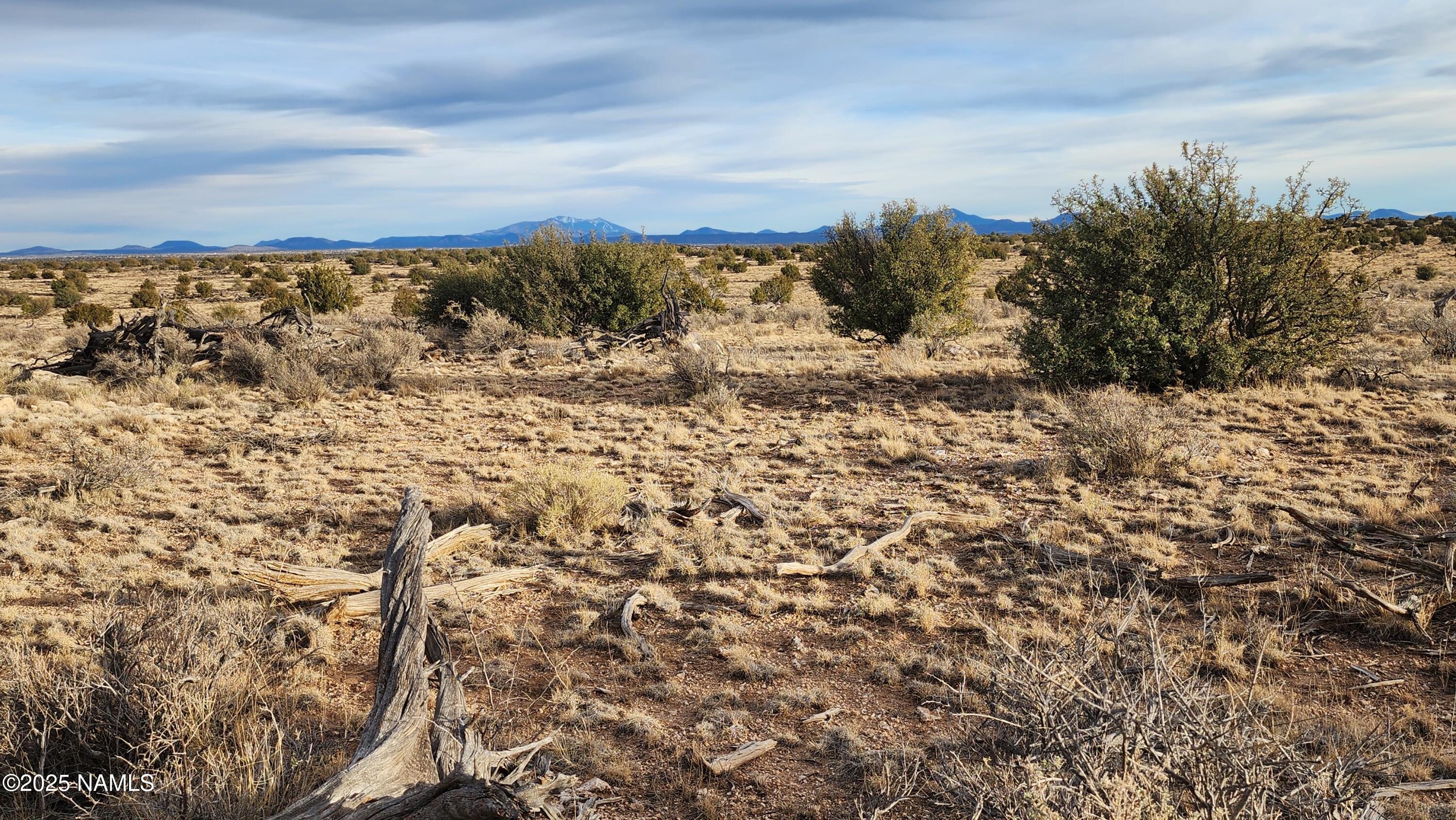 10500 West Line Cook Trail Williams, AZ 86046 - Photo 11 of 46 1000023576