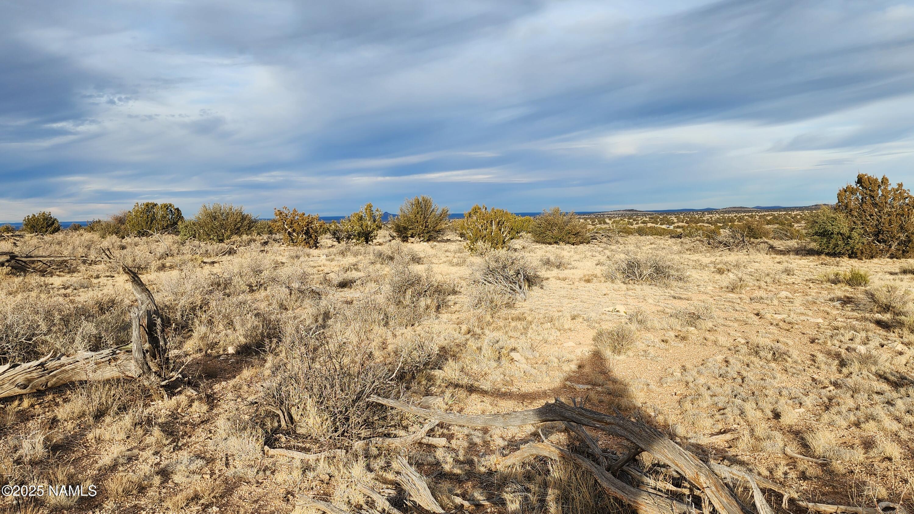10500 West Line Cook Trail Williams, AZ 86046 - Photo 12 of 46 1000023575