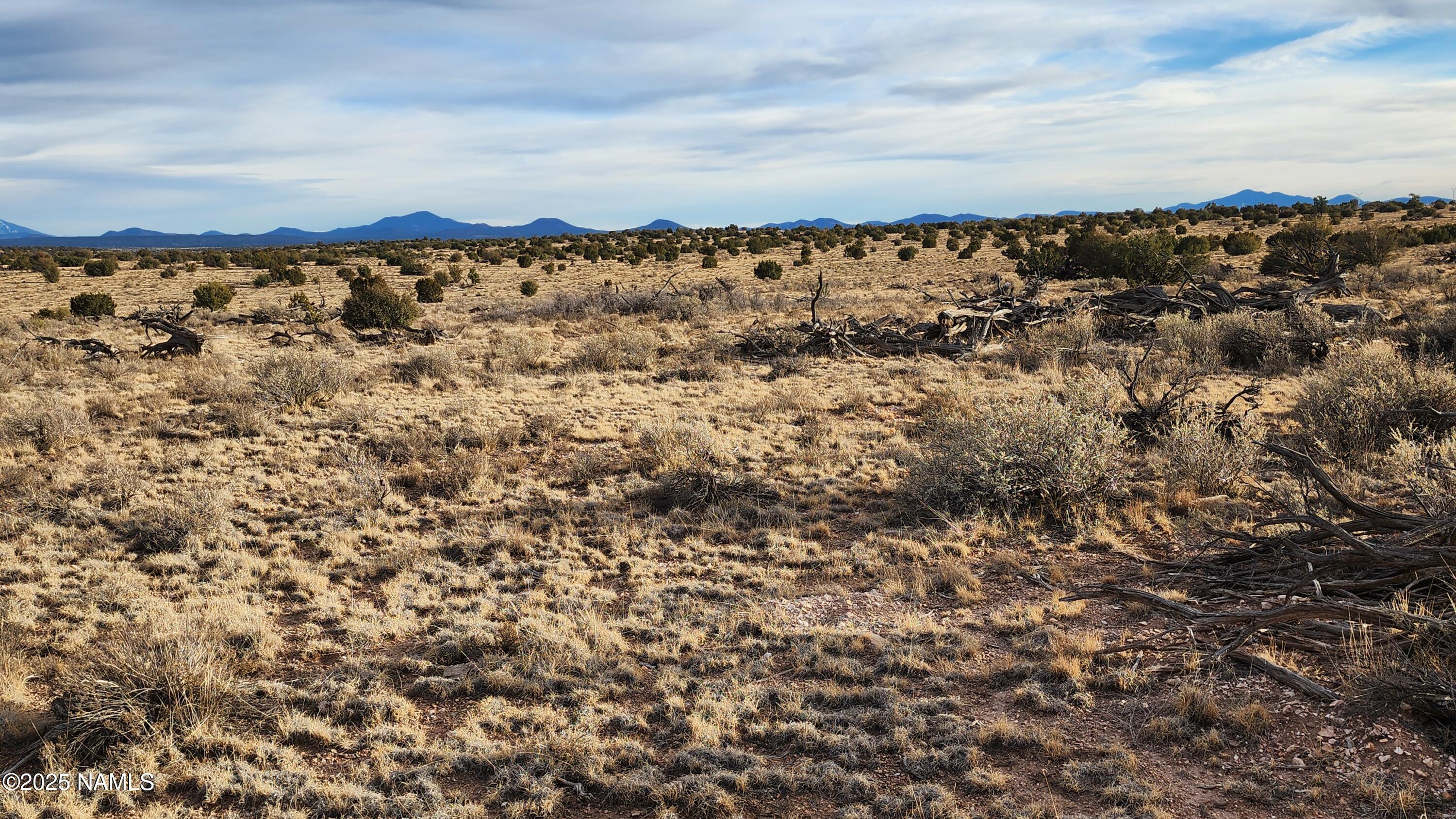 10500 West Line Cook Trail Williams, AZ 86046 - Photo 13 of 46 1000023574