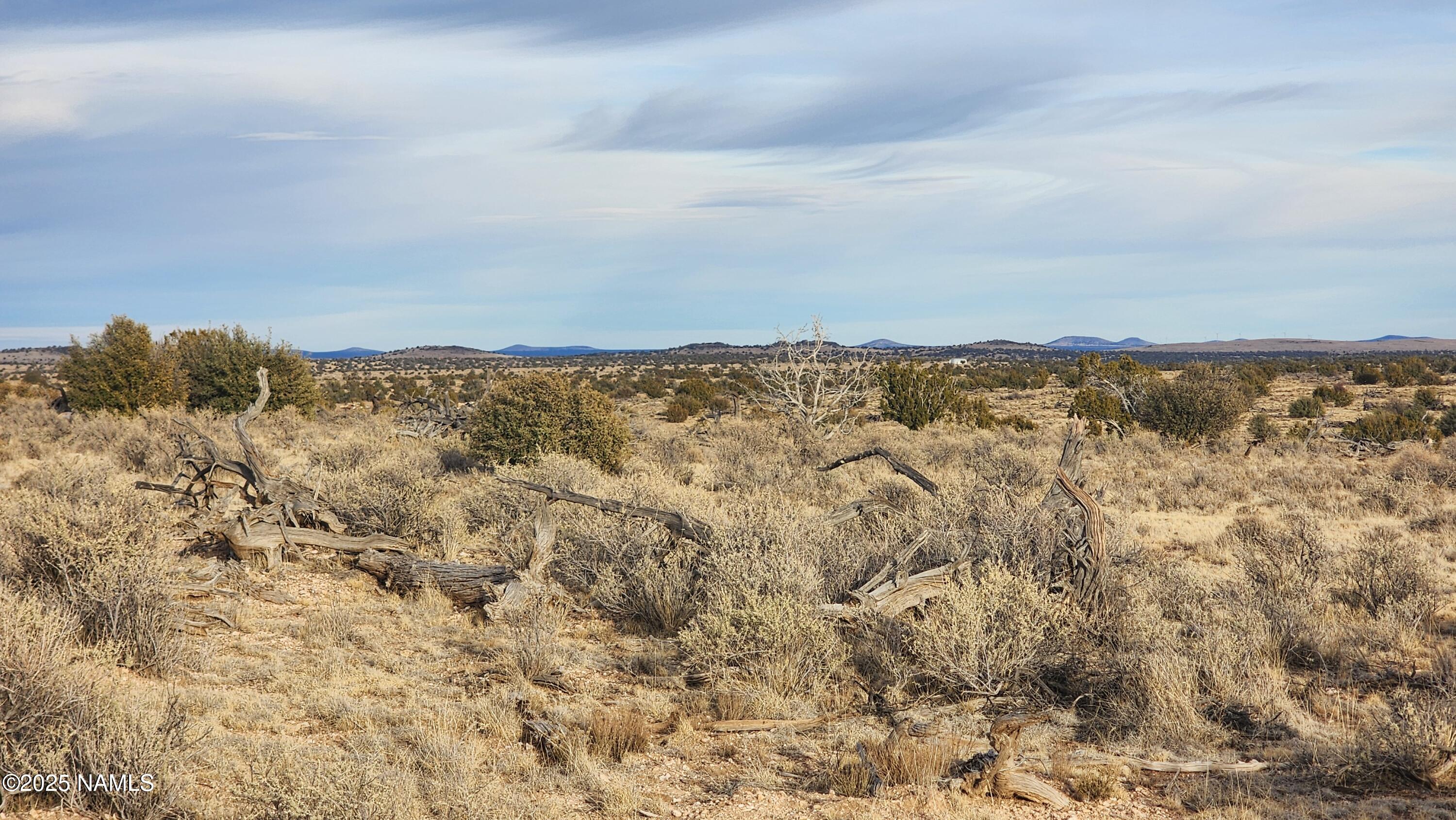 10500 West Line Cook Trail Williams, AZ 86046 - Photo 14 of 46 1000023571