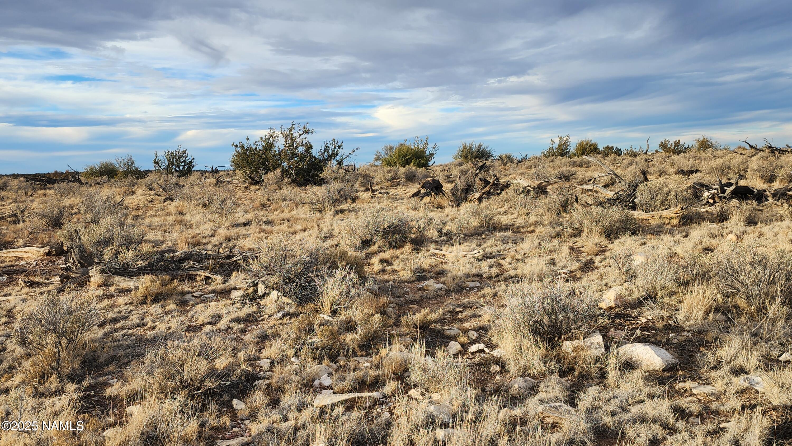 10500 West Line Cook Trail Williams, AZ 86046 - Photo 15 of 46 1000023572