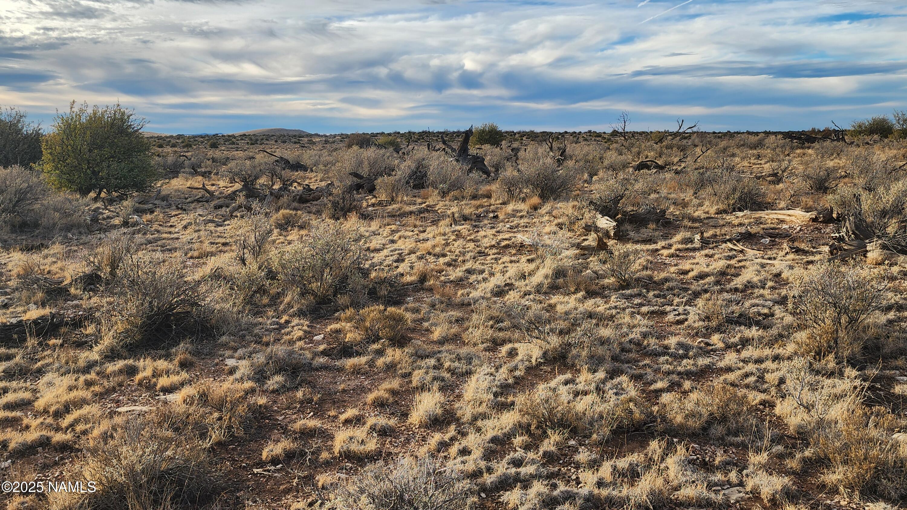 10500 West Line Cook Trail Williams, AZ 86046 - Photo 16 of 46 1000023573