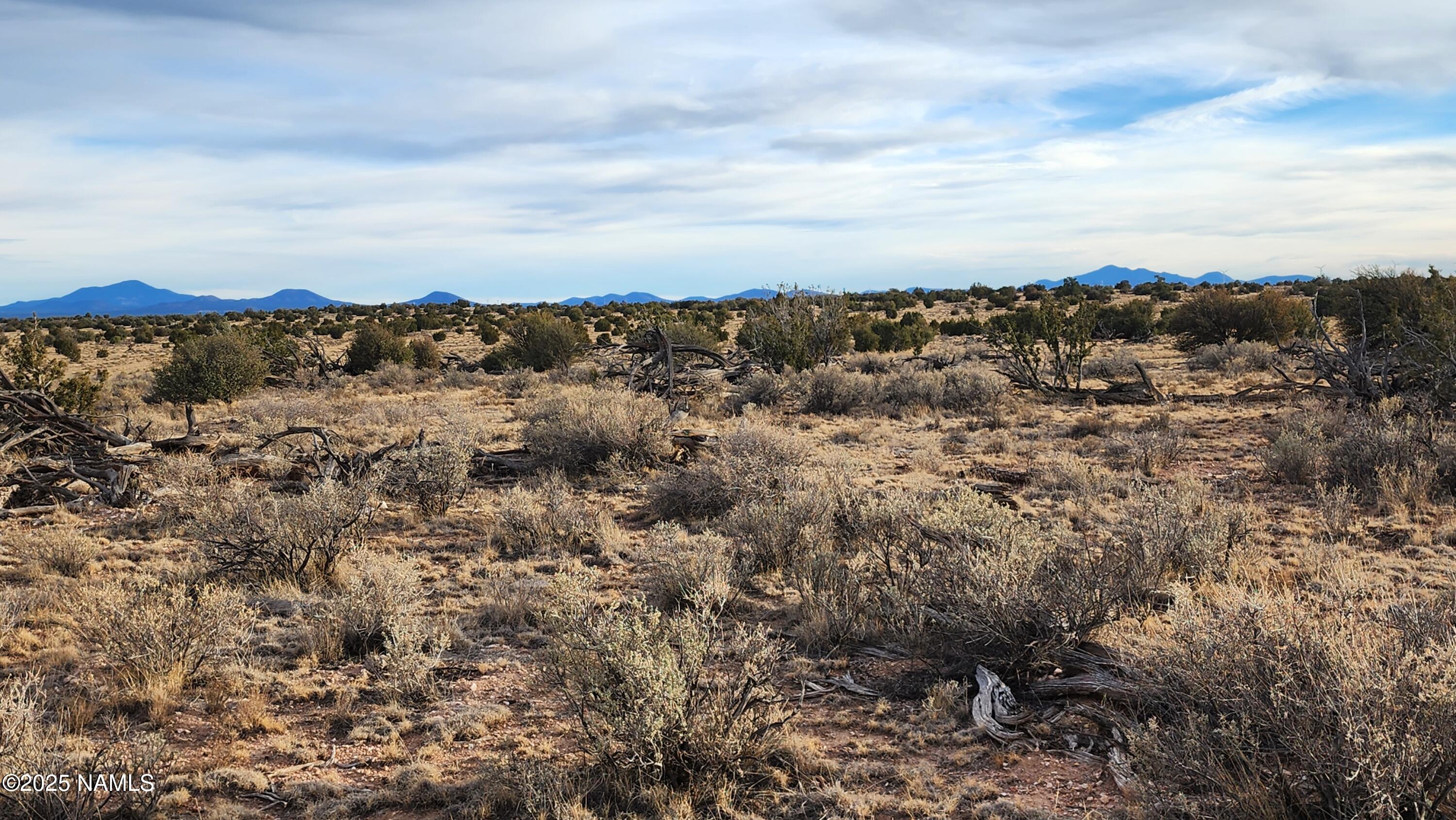 10500 West Line Cook Trail Williams, AZ 86046 - Photo 18 of 46 1000023569