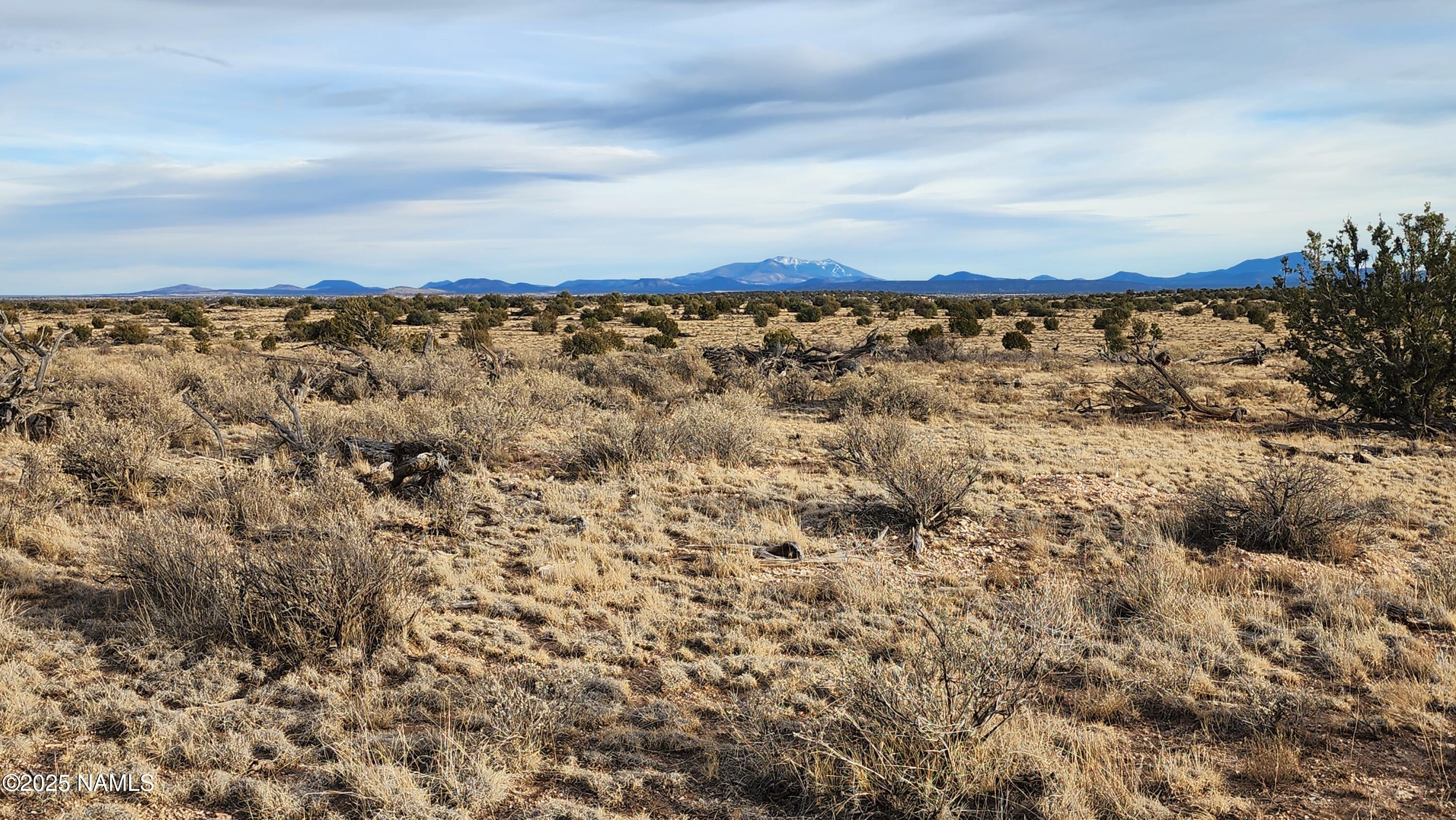 10500 West Line Cook Trail Williams, AZ 86046 - Photo 19 of 46 1000023568