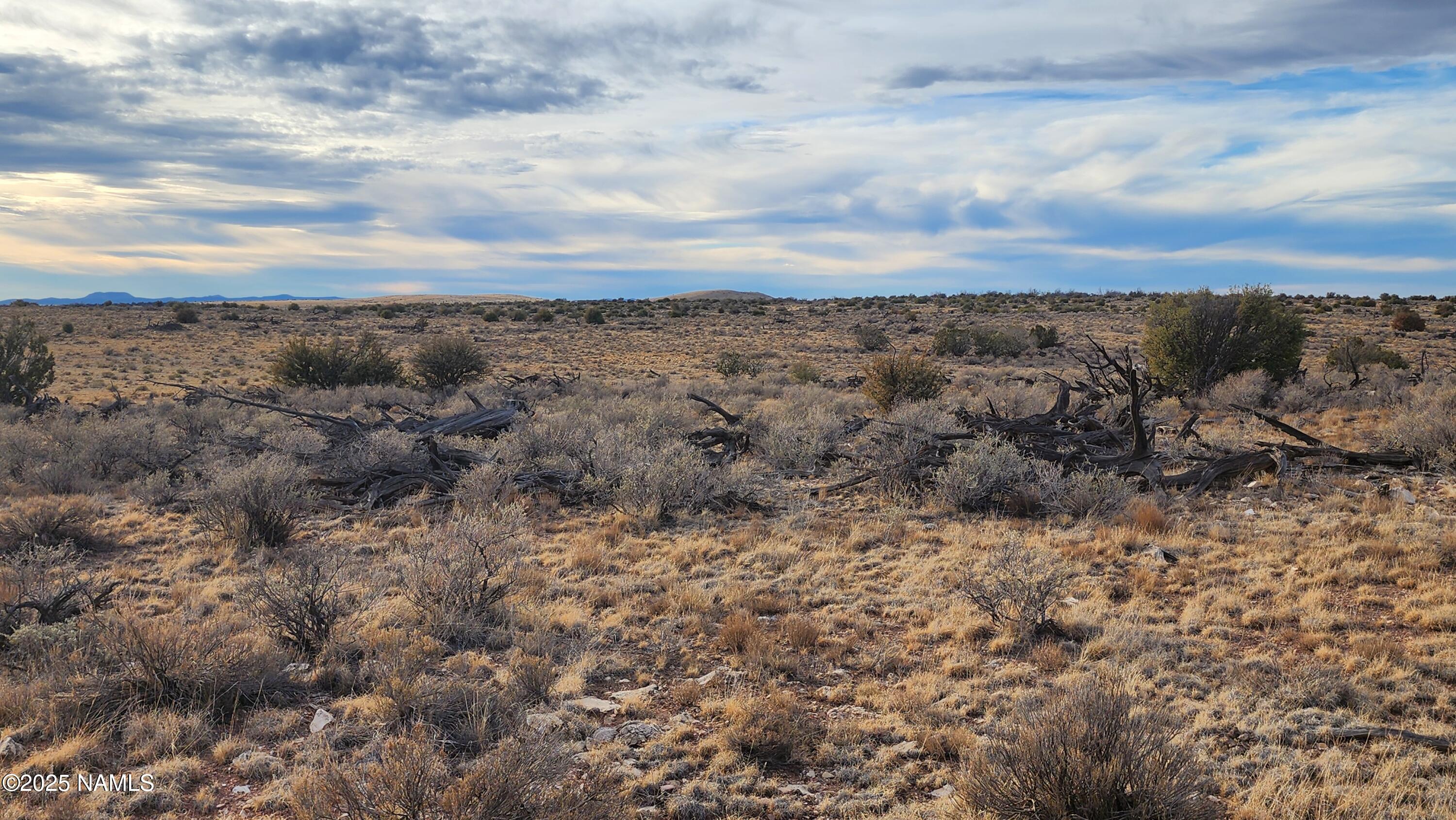 10500 West Line Cook Trail Williams, AZ 86046 - Photo 21 of 46 1000023564