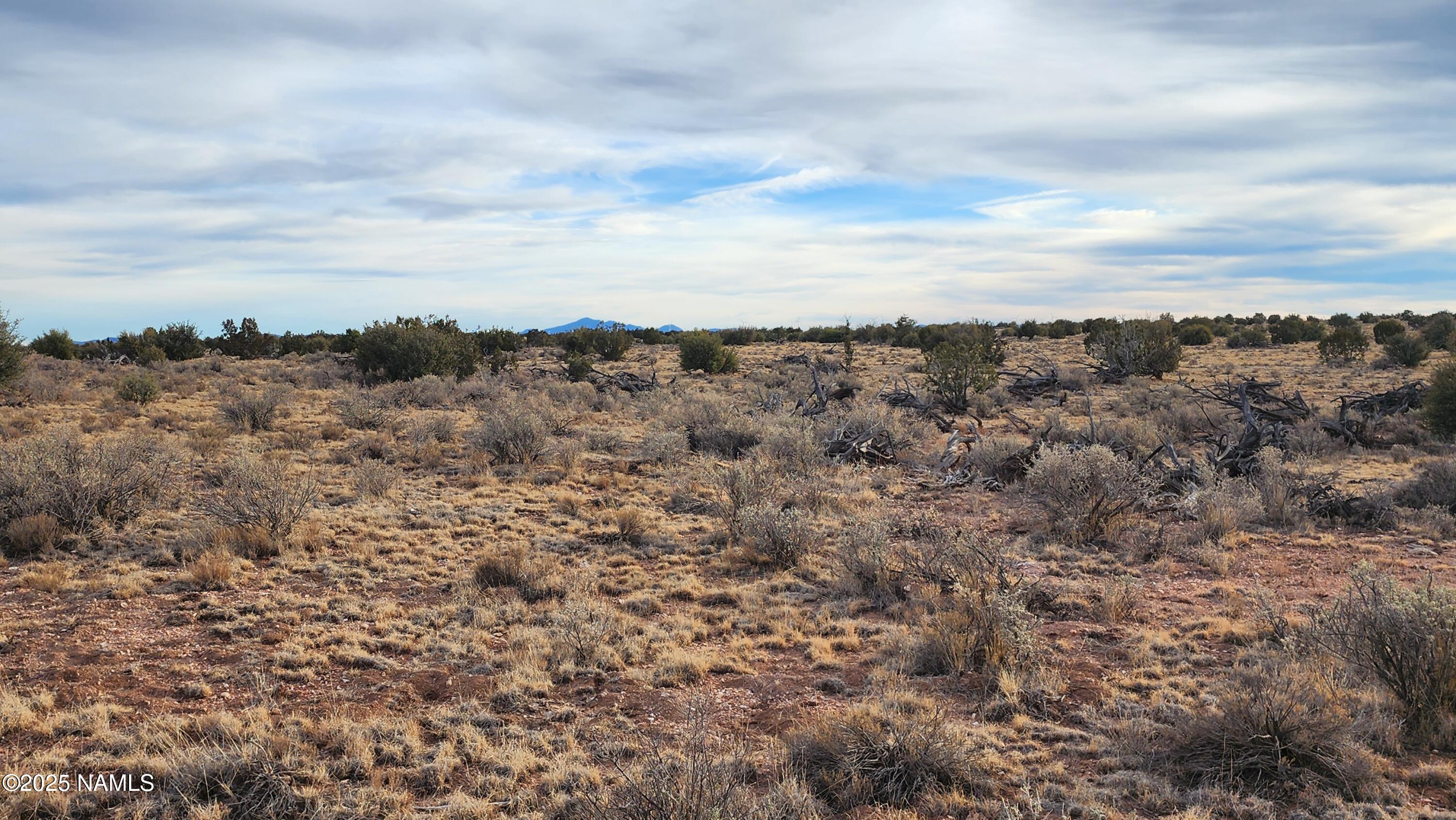 10500 West Line Cook Trail Williams, AZ 86046 - Photo 22 of 46 1000023561