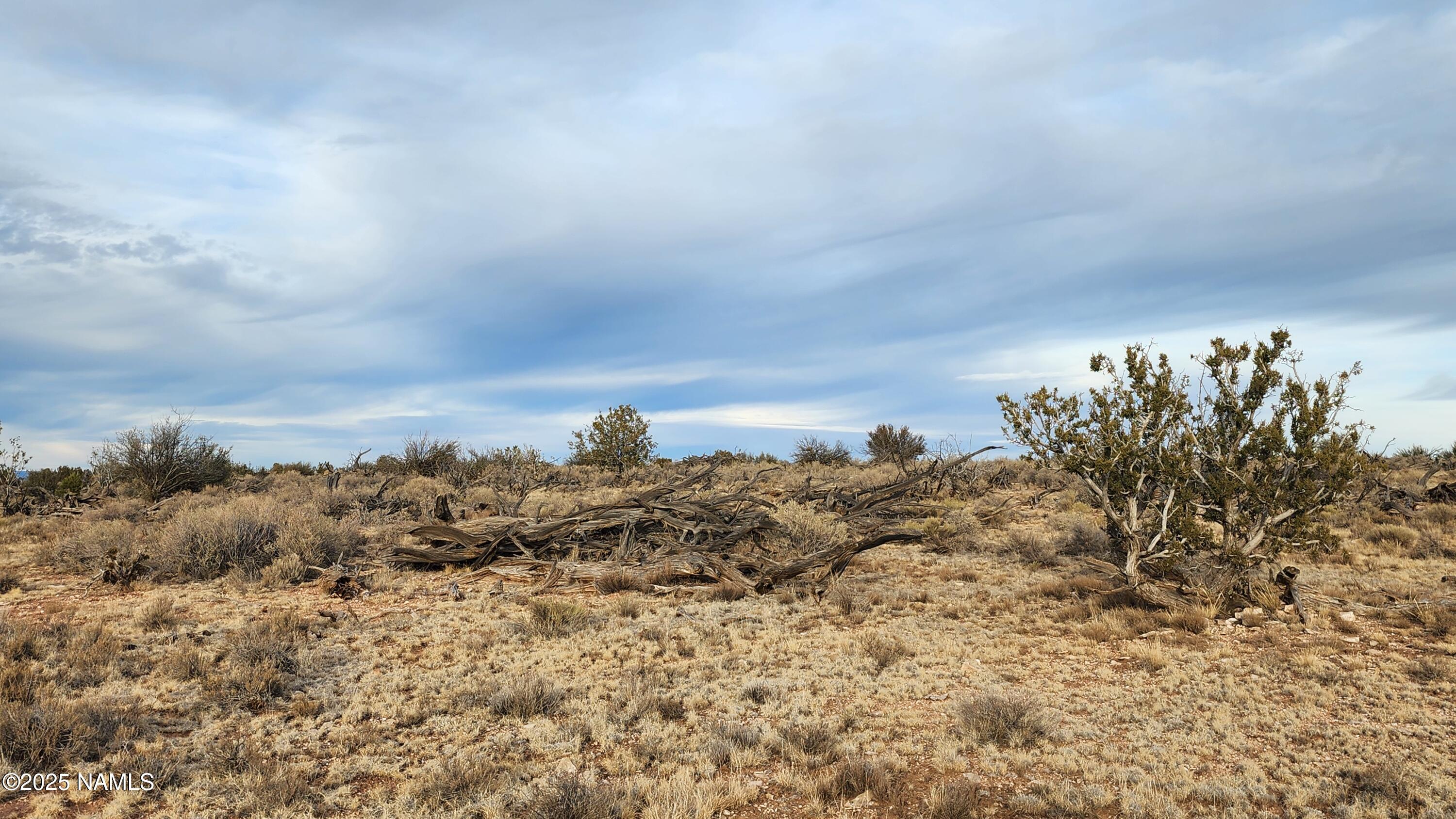 10500 West Line Cook Trail Williams, AZ 86046 - Photo 24 of 46 1000023559