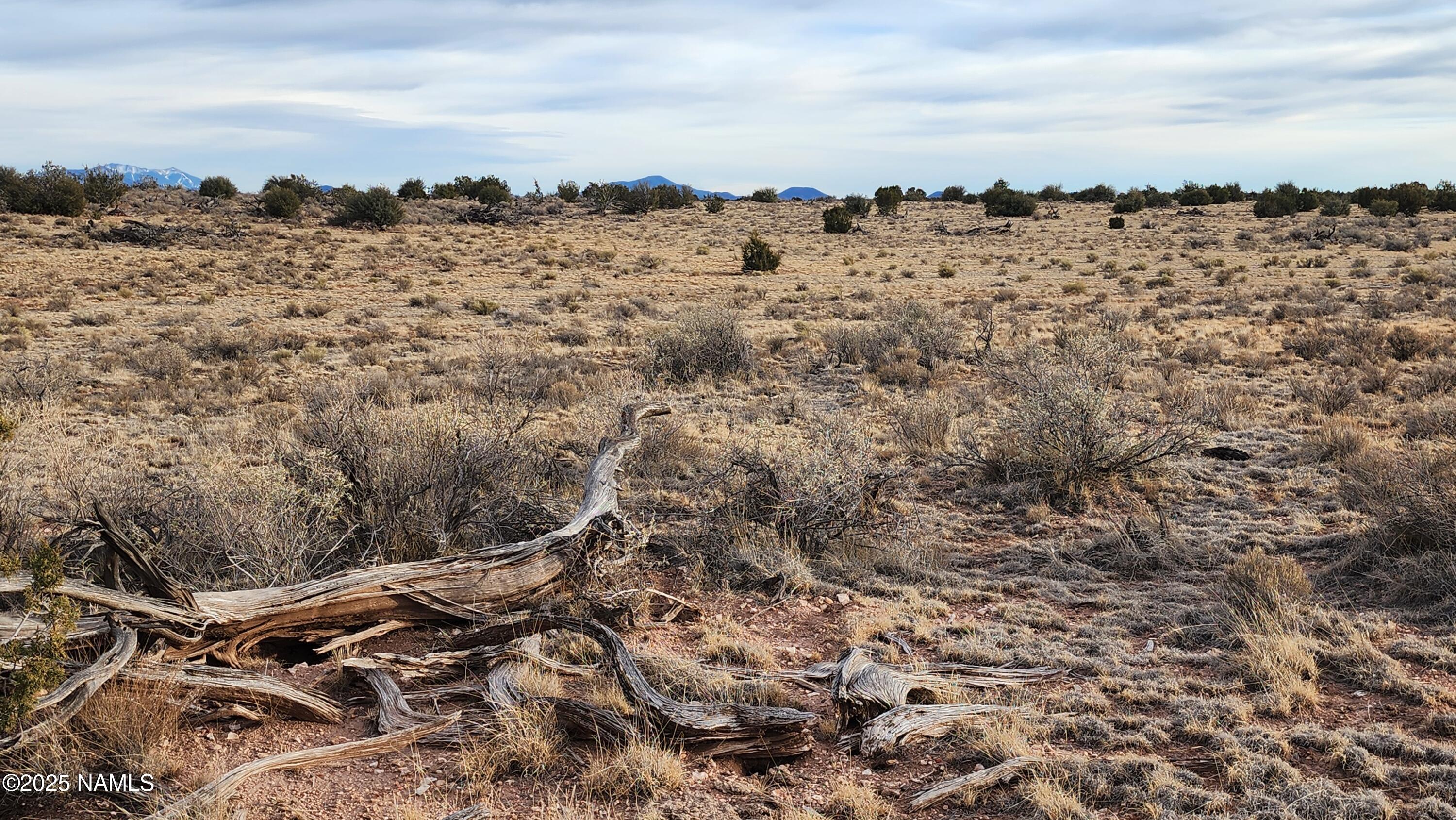10500 West Line Cook Trail Williams, AZ 86046 - Photo 28 of 46 1000023555