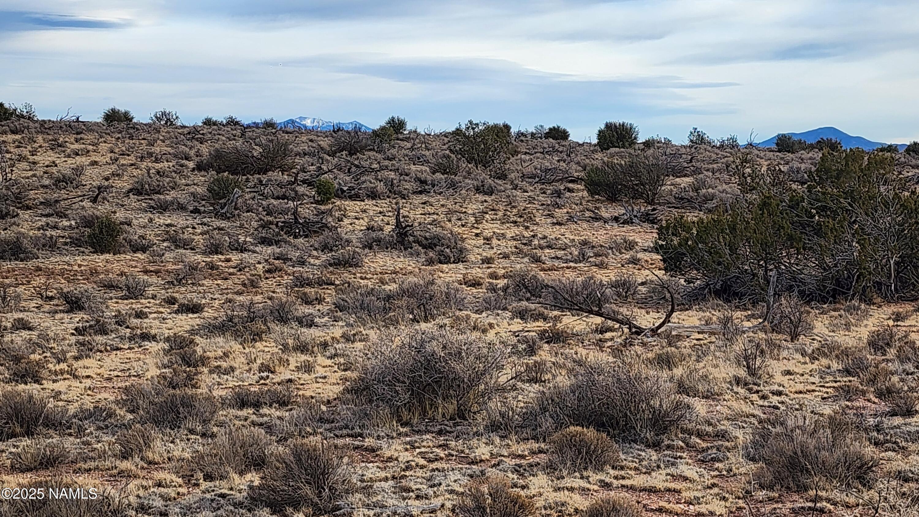10500 West Line Cook Trail Williams, AZ 86046 - Photo 31 of 46 1000023550