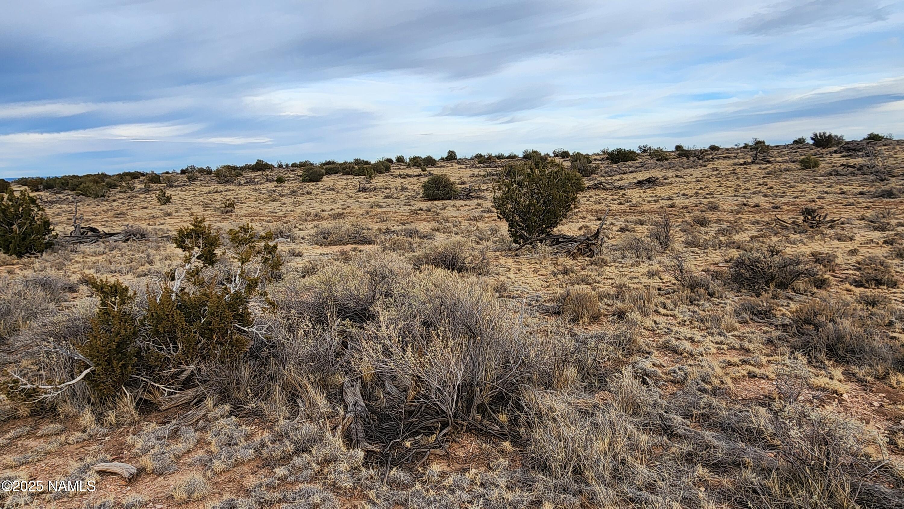 10500 West Line Cook Trail Williams, AZ 86046 - Photo 34 of 46 1000023549