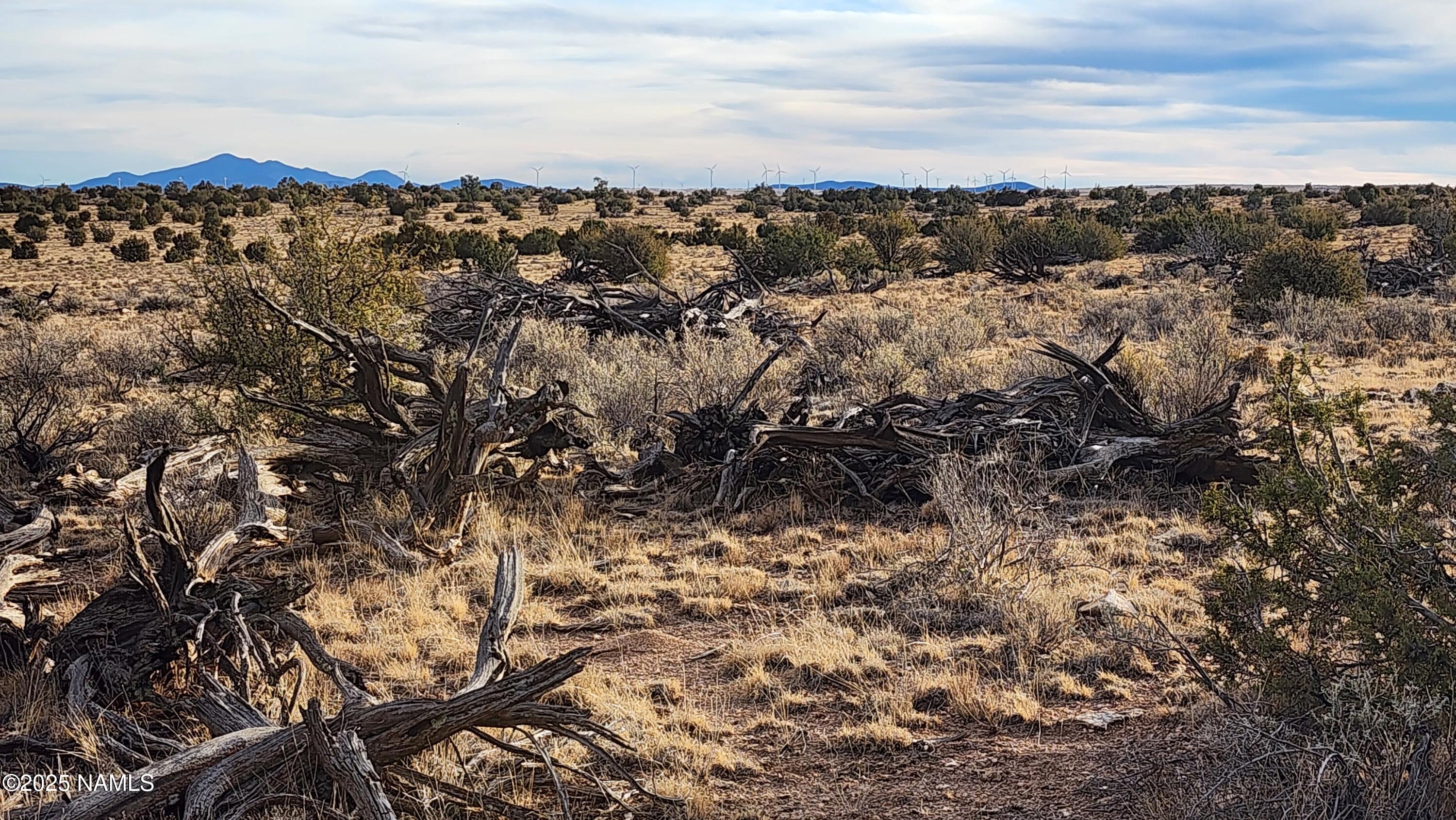 10500 West Line Cook Trail Williams, AZ 86046 - Photo 8 of 46 1000023577