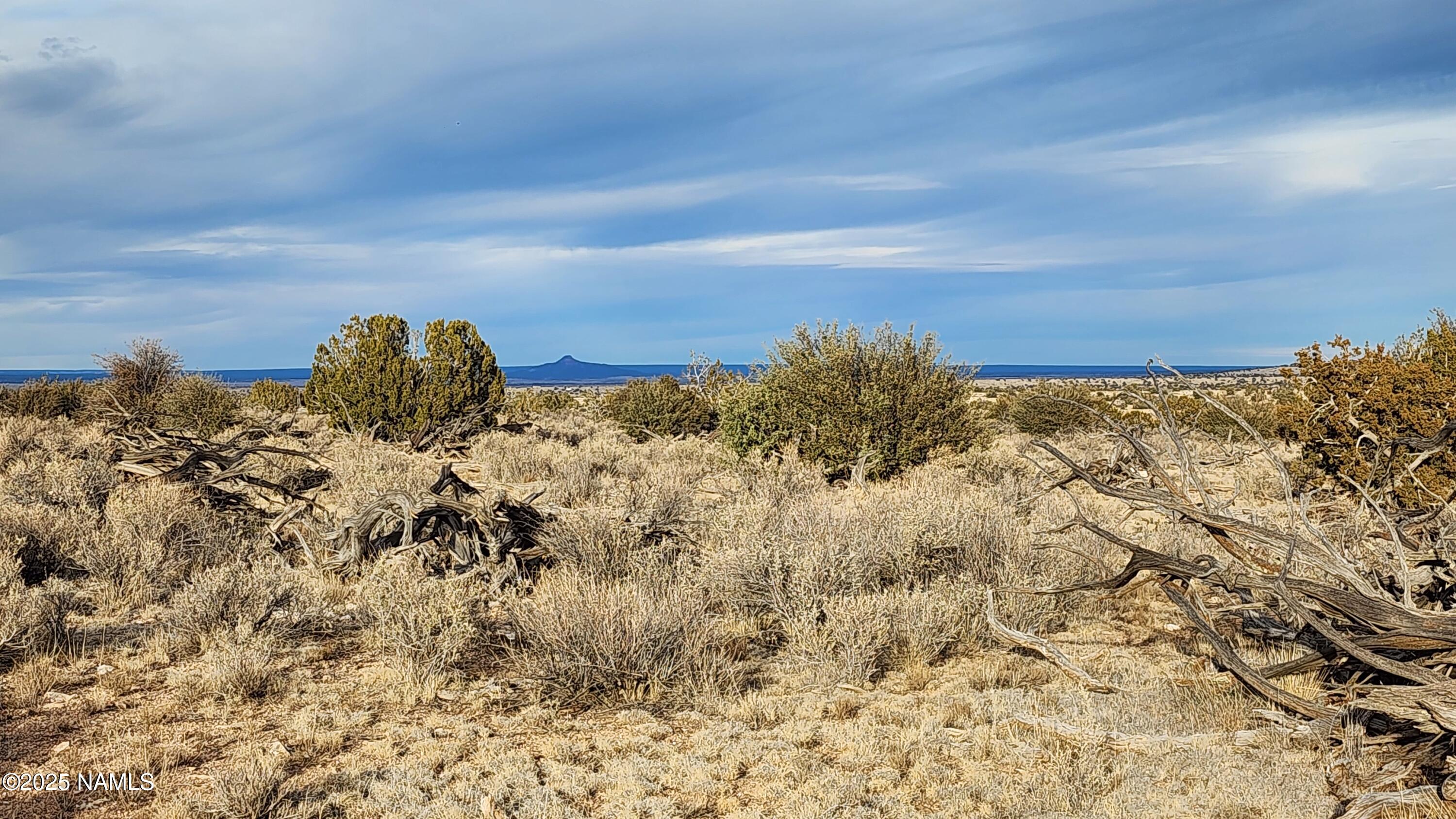 10500 West Line Cook Trail Williams, AZ 86046 - Photo 9 of 46 1000023578