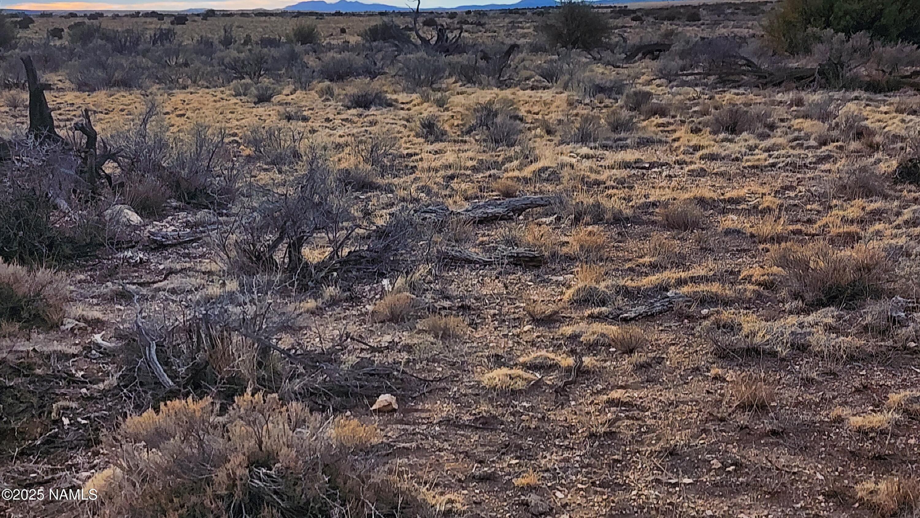 10500 West Line Cook Trail Williams, AZ 86046 - Photo 10 of 46 1000023579