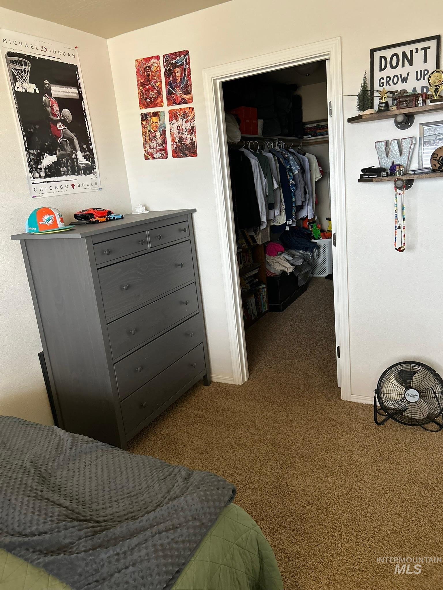 3091 Echo Road Nyssa, OR 97913 - Photo 26 of 36 Bedroom with a walk in closet and carpet floors