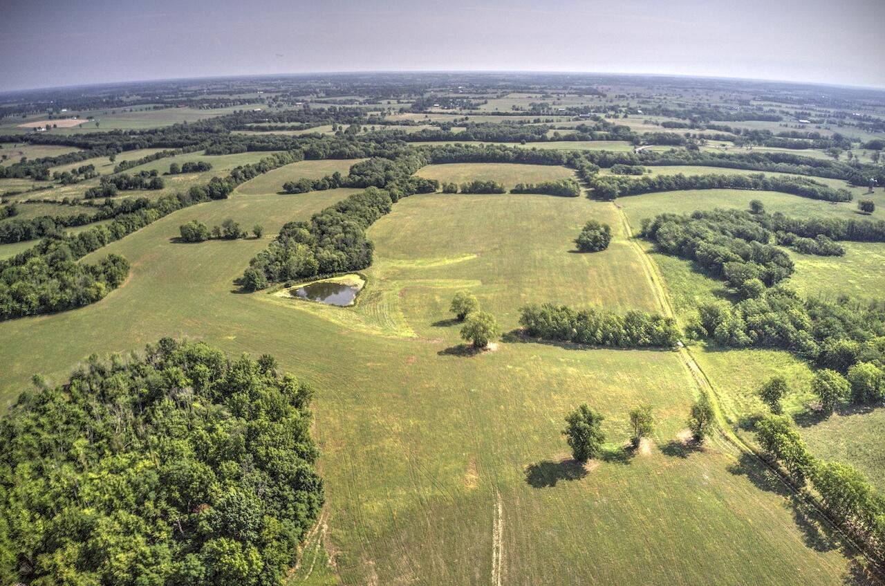 1757 Clintonville Road Paris, KY 40361 - Photo 38 of 54 DJI_0903_4_5_6_7