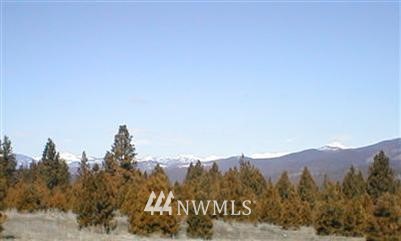921 Hidden Valley Road Cle Elum, WA 98922 - Photo 1 of 1 Gallery Image 1