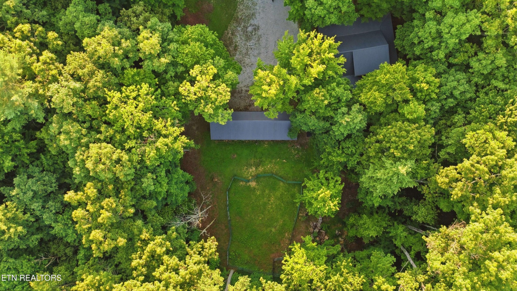 784 Wilderness Trail Oneida, TN 37841 - Photo 24 of 34