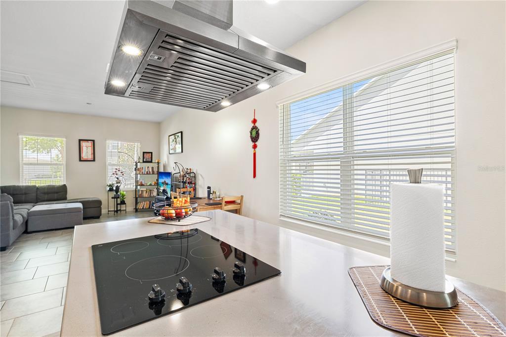 11368 Satire Street Orlando, FL 32832 - Photo 11 of 99