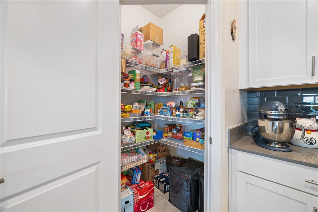 11368 Satire Street Orlando, FL 32832 - Photo 25 of 99