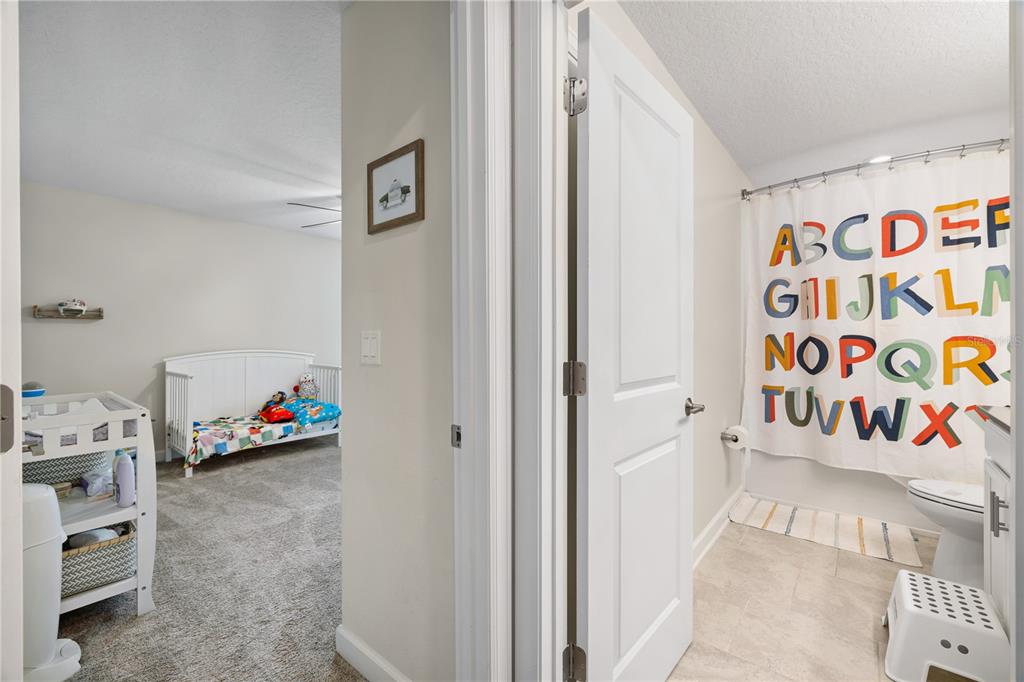 11368 Satire Street Orlando, FL 32832 - Photo 41 of 99