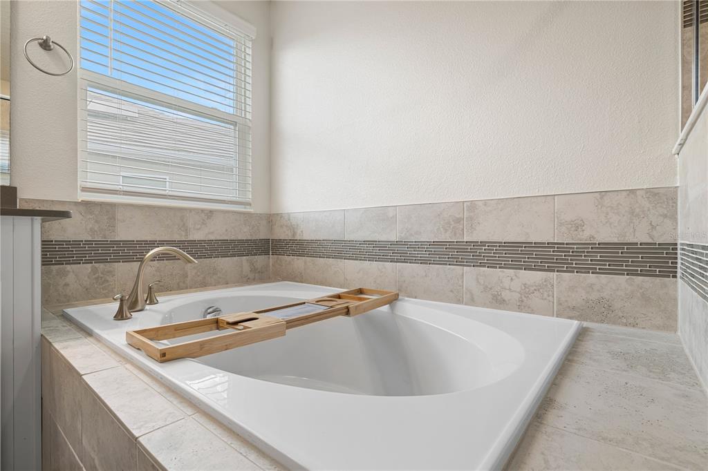 11368 Satire Street Orlando, FL 32832 - Photo 53 of 99