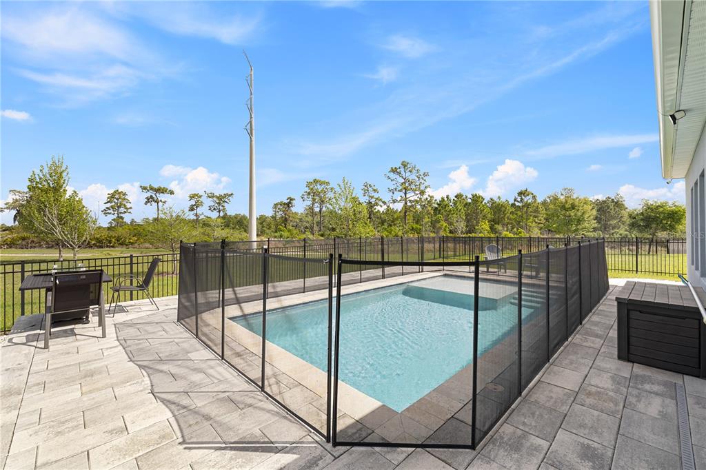 11368 Satire Street Orlando, FL 32832 - Photo 61 of 99