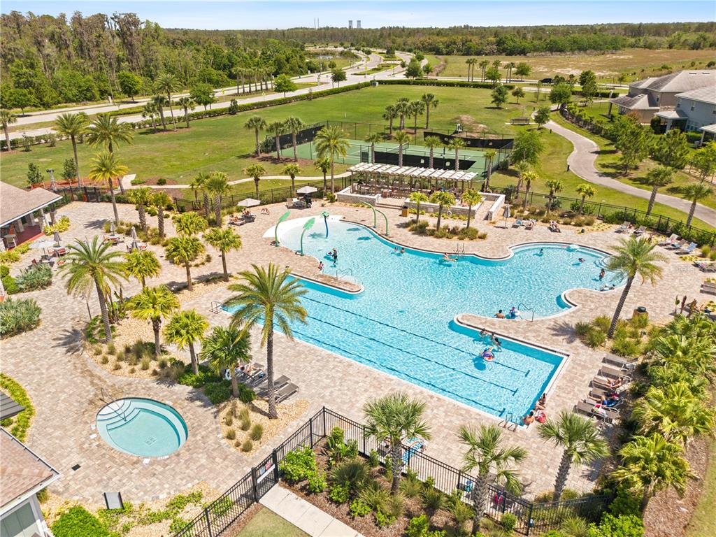 11368 Satire Street Orlando, FL 32832 - Photo 88 of 99