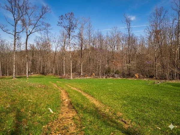 $585,000 | 0 Elk Drive, Waverly, TN 37185