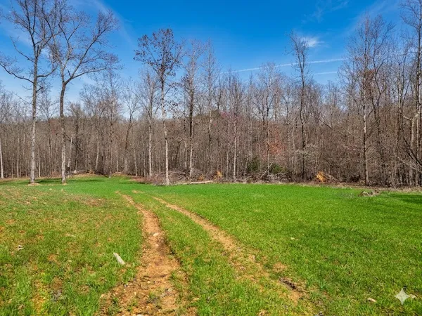 $585,000 | 0 Elk Drive, Waverly, TN 37185