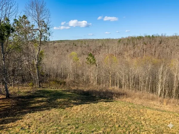 $585,000 | 0 Elk Drive, Waverly, TN 37185