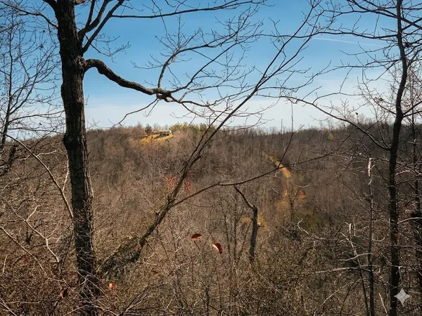 $585,000 | 0 Elk Drive, Waverly, TN 37185