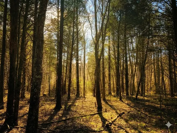 $585,000 | 0 Elk Drive, Waverly, TN 37185