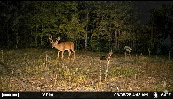 $585,000 | 0 Elk Drive, Waverly, TN 37185