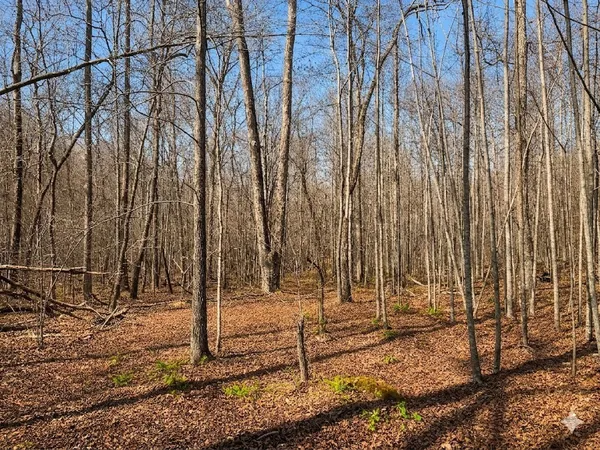 $585,000 | 0 Elk Drive, Waverly, TN 37185