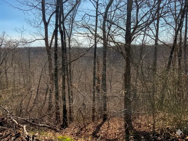 $585,000 | 0 Elk Drive, Waverly, TN 37185