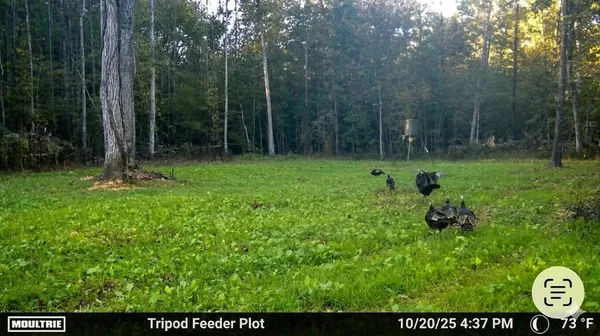 $585,000 | 0 Elk Drive, Waverly, TN 37185