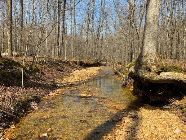 $585,000 | 0 Elk Drive, Waverly, TN 37185