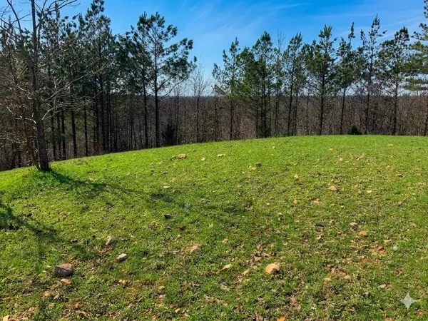 $585,000 | 0 Elk Drive, Waverly, TN 37185