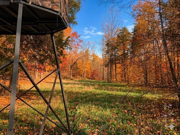 $585,000 | 0 Elk Drive, Waverly, TN 37185