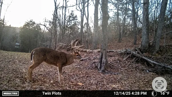 $585,000 | 0 Elk Drive, Waverly, TN 37185