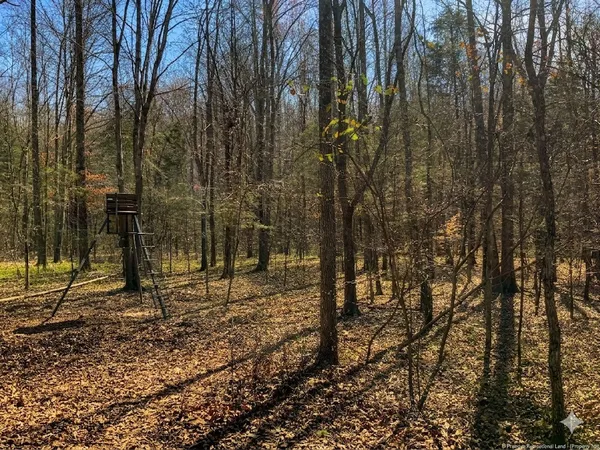 $585,000 | 0 Elk Drive, Waverly, TN 37185