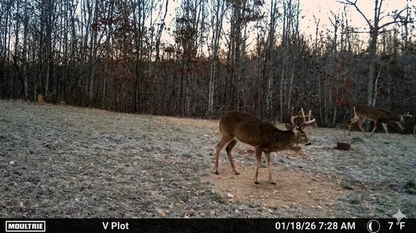 $585,000 | 0 Elk Drive, Waverly, TN 37185