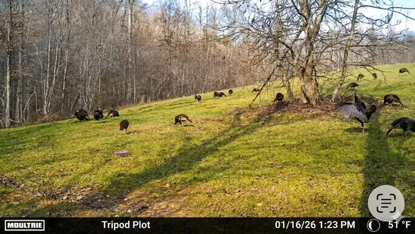 $585,000 | 0 Elk Drive, Waverly, TN 37185