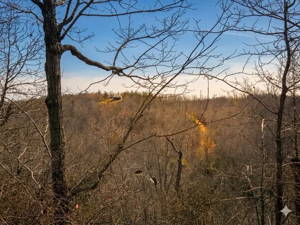 $585,000 | 0 Elk Drive, Waverly, TN 37185