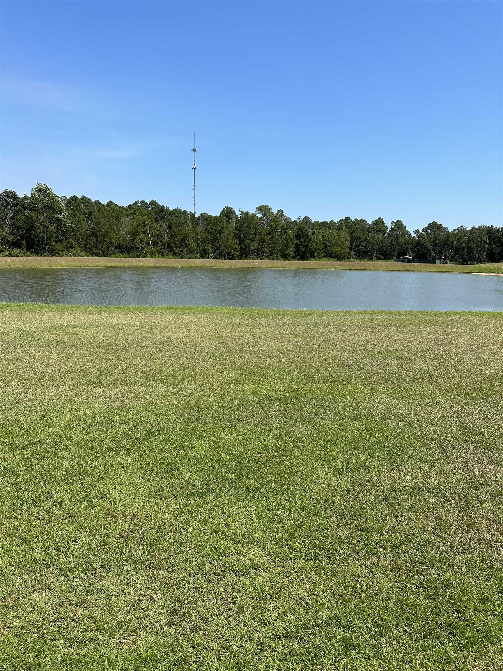 22336 Early Dawn Circle Foley, AL 36535 - Photo 6 of 14