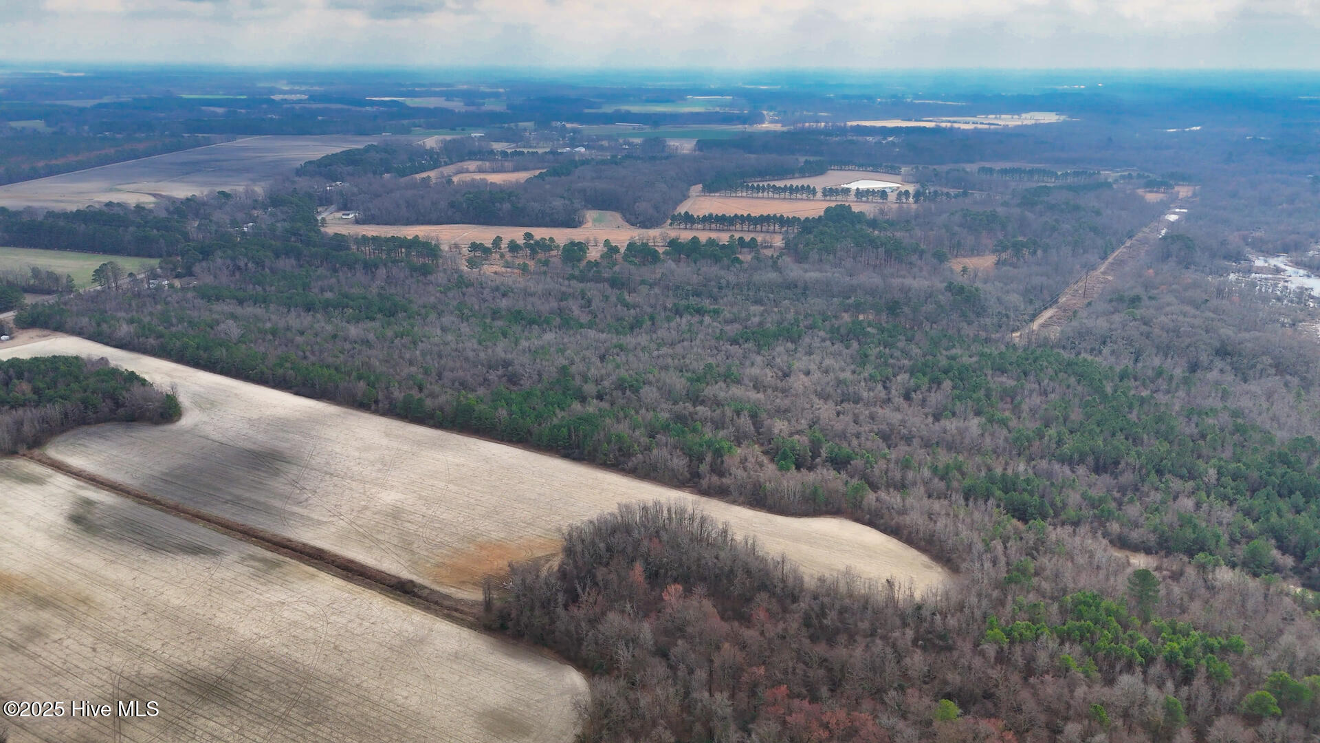 0 East Darden Road Faison, NC 28341 - Photo 7 of 25 31265_Image_7