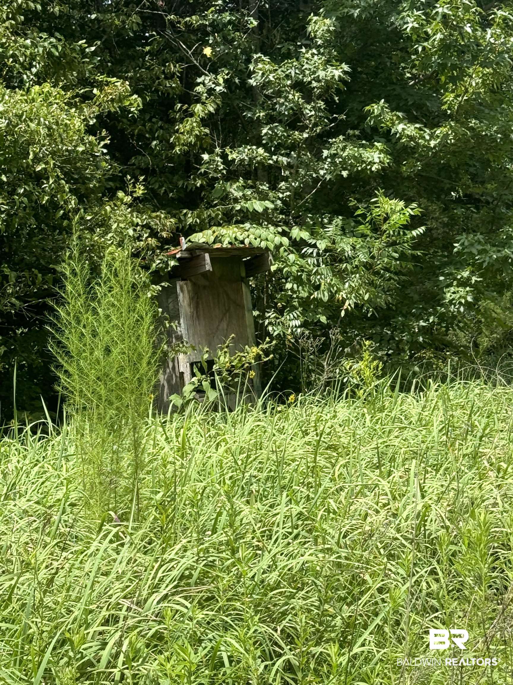 0 Deer Creek Road Monroeville, AL 36460 - Photo 18 of 19
