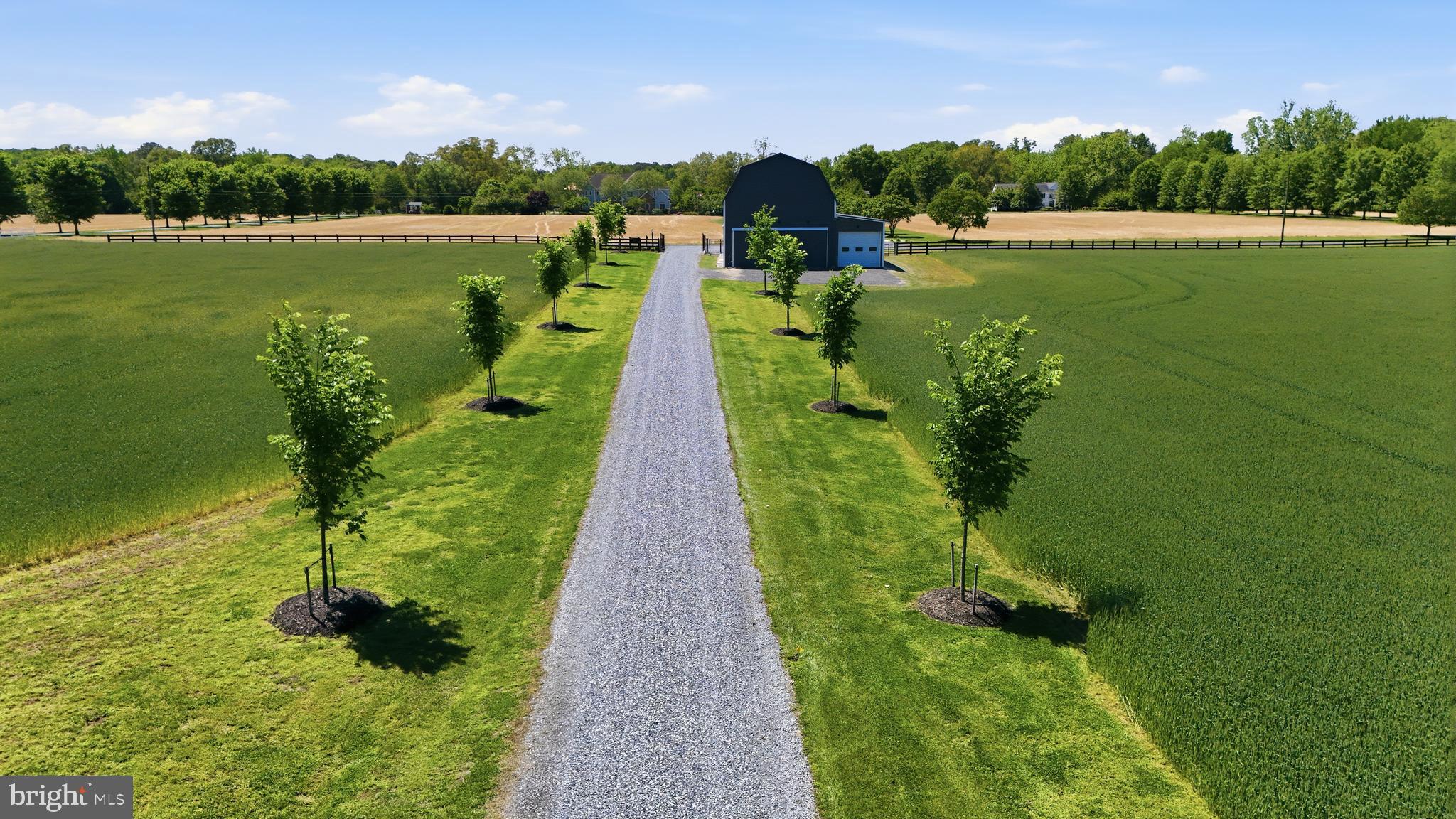 38980 Hodges Road Avenue, MD 20609 - Photo 16 of 98 Tree lined drive w/sprinklers