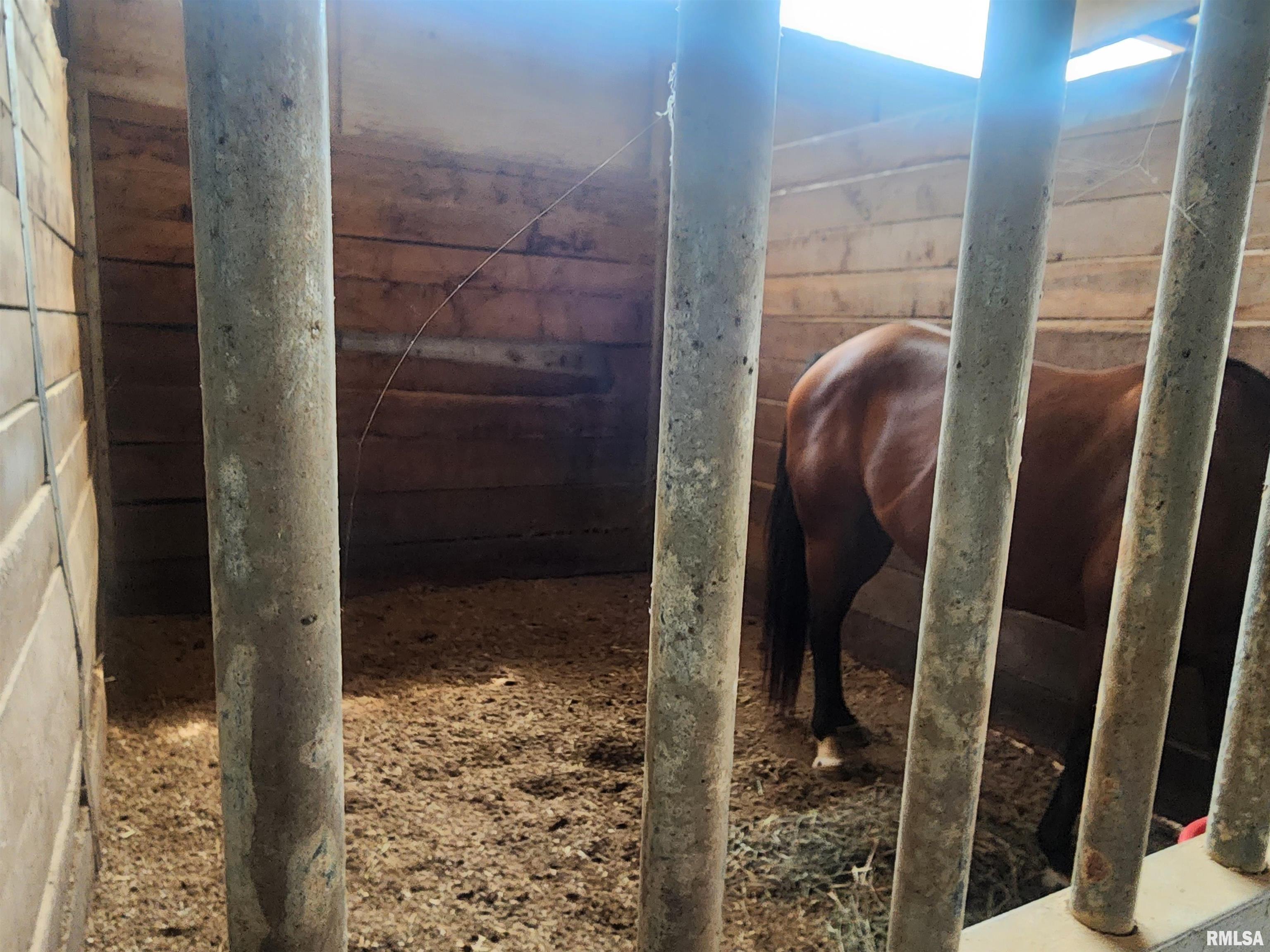 1230 Highway 45 Vienna, IL 62995 - Photo 11 of 73